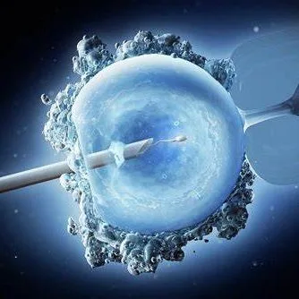 IVF Portfolio